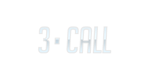 3 - CALL
