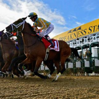2023 Preakness Stakes Odds